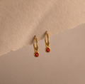 Birthstone Charm Drop Earring