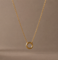 Birthstone Charm Necklace