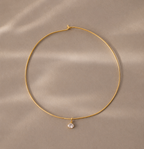 Zara Collar Necklace