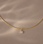 Zara Collar Necklace